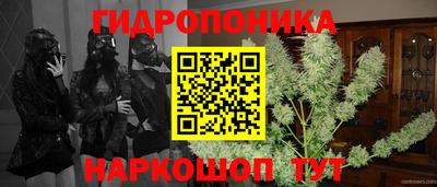 jwh Гусев