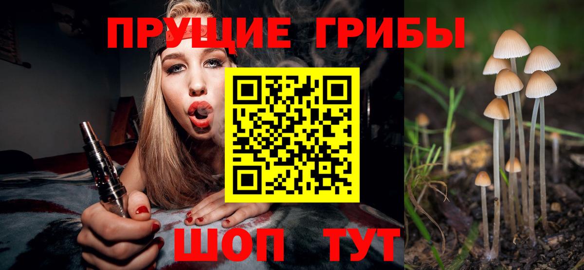 Галлюциногенные грибы Psilocybine cubensis  купить наркотики сайты  Мирный  Вход с VPN 